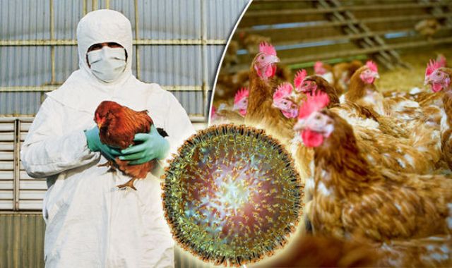 Bird Flu Virus Outbreak in India | देश में बढ़ा बर्ड फ्लू का खतरा क्या है डॉ. की राय